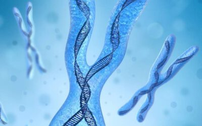 Nova studija o kompletnom pogledu na hromozomopatije svih 46 hromozoma